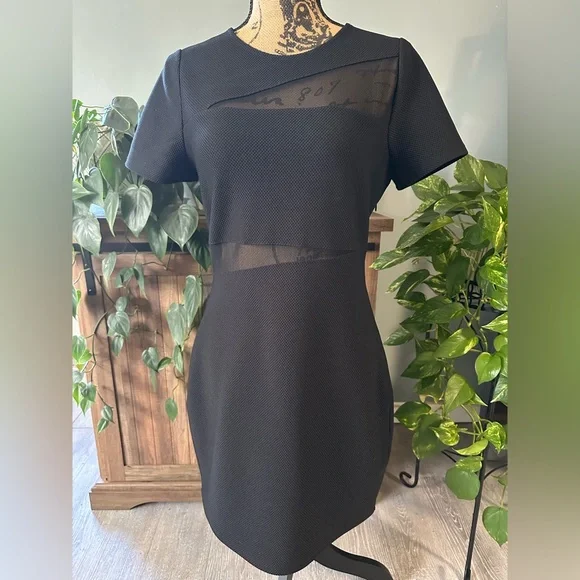 Express Black Bodycon Dress with Mesh Insets. Size 10. - Picture 2 of 5